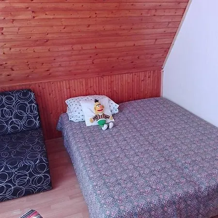 Nefelejcs Vendeghaz Affittacamere