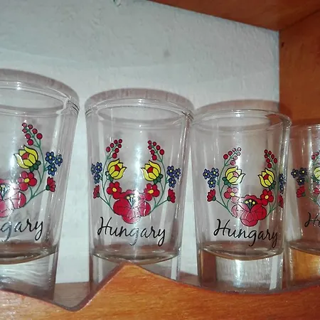 Nefelejcs Vendeghaz * Sárospatak