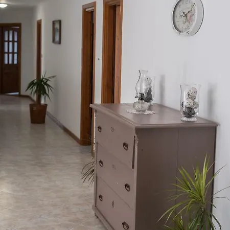 Nefelejcs Vendeghaz Guest house *