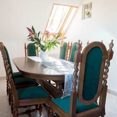 Nefelejcs Vendeghaz Guest house *