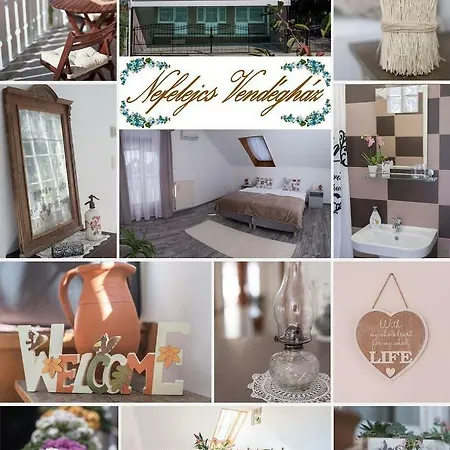Guest house Nefelejcs Vendeghaz Toalmas