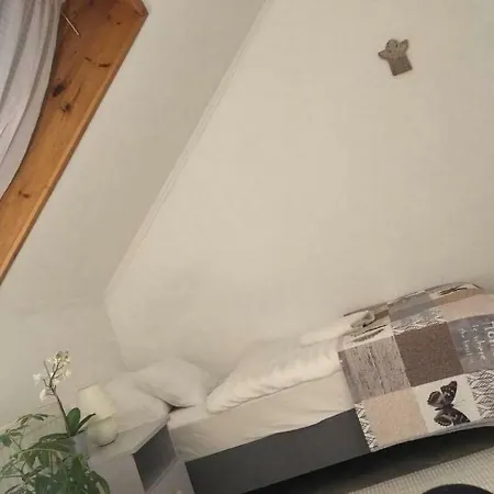 Guest house Nefelejcs Vendeghaz Toalmas