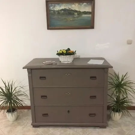 Nefelejcs Vendeghaz